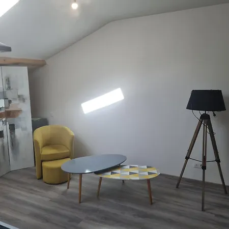 Grand Confort Apartment Nantua